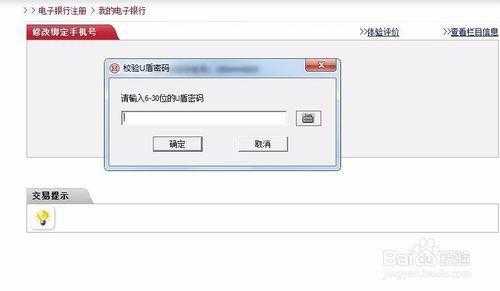 工行网银支付原始密码（工行网银支付原始密码是什么）