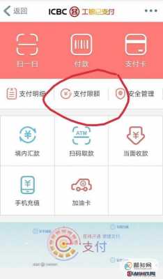 工行手机网银支付额度（工行手机网银支付额度怎么查）