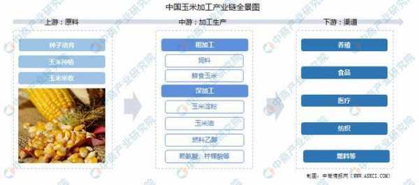 玉米加工行业风险（玉米加工产业政策）