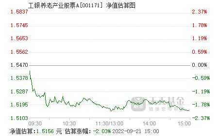 工行养老产业股票（工银养老产业股票001171）